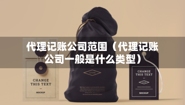 代理记账公司范围（代理记账公司一般是什么类型）