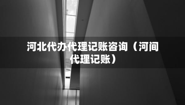 河北代办代理记账咨询（河间代理记账）