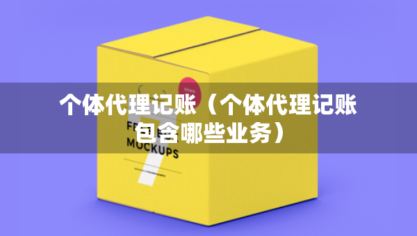个体代理记账（个体代理记账包含哪些业务）