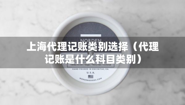 上海代理记账类别选择（代理记账是什么科目类别）