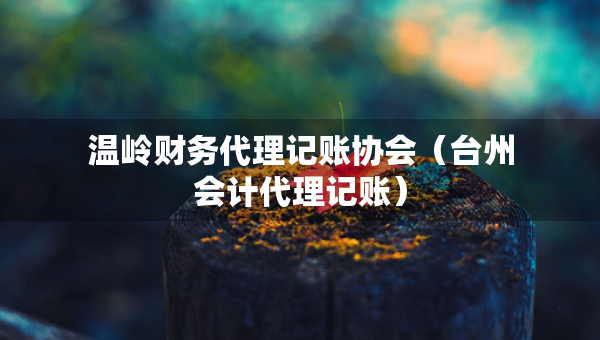 温岭财务代理记账协会（台州会计代理记账）