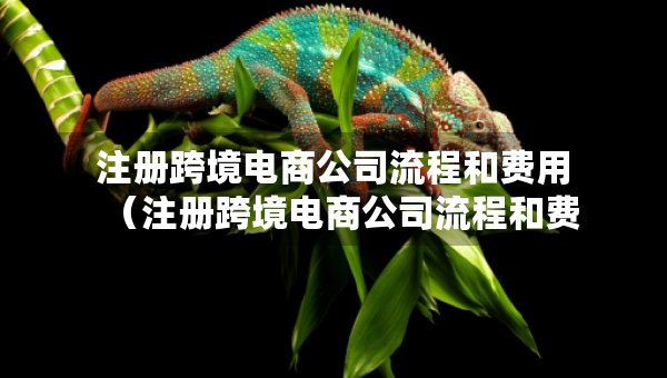 注册跨境电商公司流程和费用（注册跨境电商公司流程和费用标准）