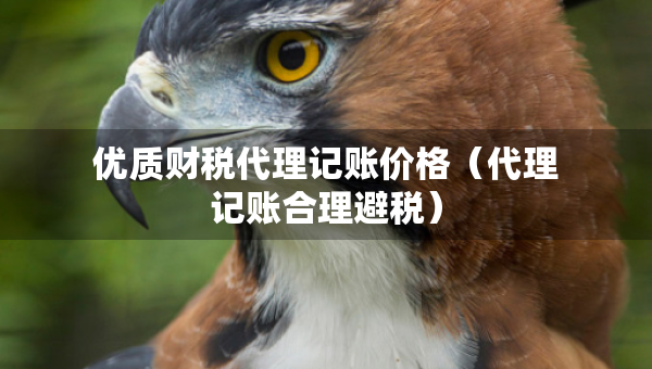 优质财税代理记账价格（代理记账合理避税）