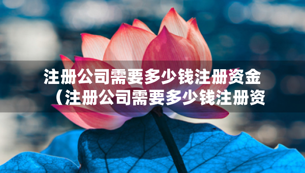 注册公司需要多少钱注册资金（注册公司需要多少钱注册资金?用不用抵押什么）