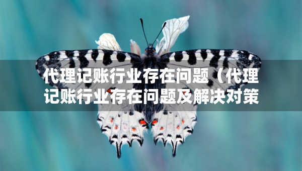代理记账行业存在问题（代理记账行业存在问题及解决对策）