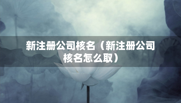 新注册公司核名（新注册公司核名怎么取）