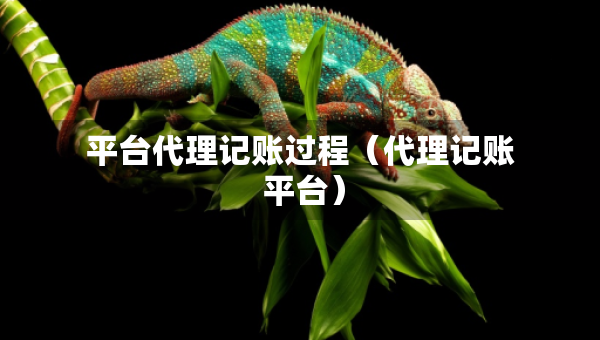平台代理记账过程（代理记账 平台）