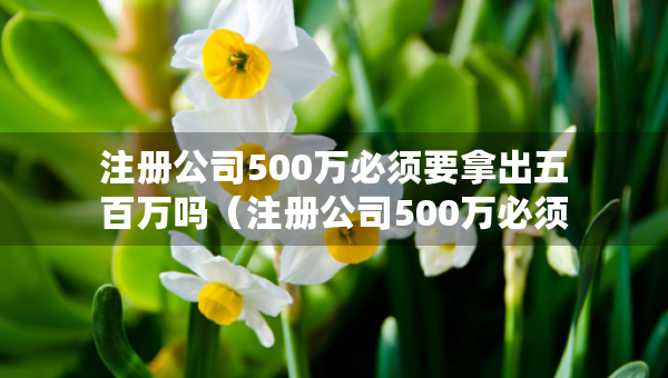 注册公司500万必须要拿出五百万吗（注册公司500万必须要拿出五百万吗知乎）