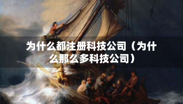为什么都注册科技公司（为什么那么多科技公司）