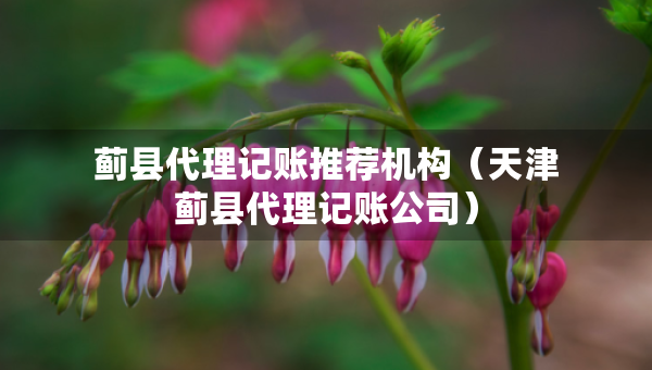 蓟县代理记账推荐机构（天津蓟县代理记账公司）