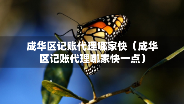 成华区记账代理哪家快（成华区记账代理哪家快一点）