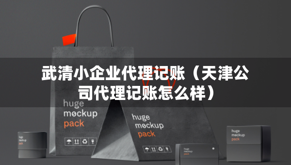 武清小企业代理记账（天津公司代理记账怎么样）