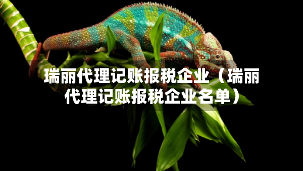 瑞丽代理记账报税企业（瑞丽代理记账报税企业名单）