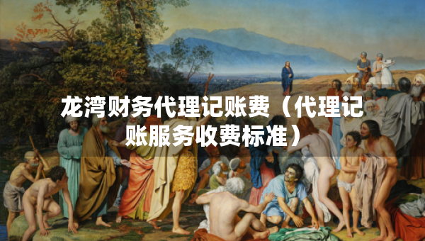 龙湾财务代理记账费（代理记账服务收费标准）