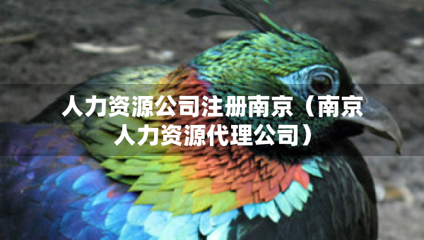 人力资源公司注册南京（南京人力资源代理公司）
