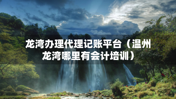 龙湾办理代理记账平台（温州龙湾哪里有会计培训）