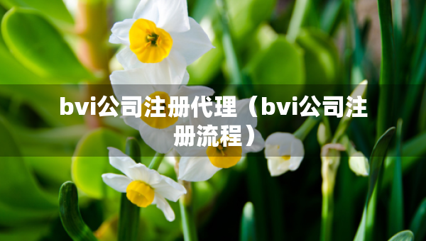bvi公司注册代理（bvi公司注册流程）