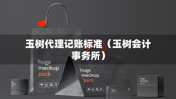 玉树代理记账标准（玉树会计事务所）