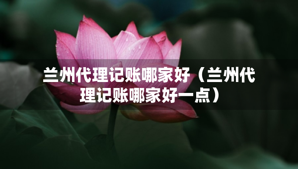 兰州代理记账哪家好（兰州代理记账哪家好一点）