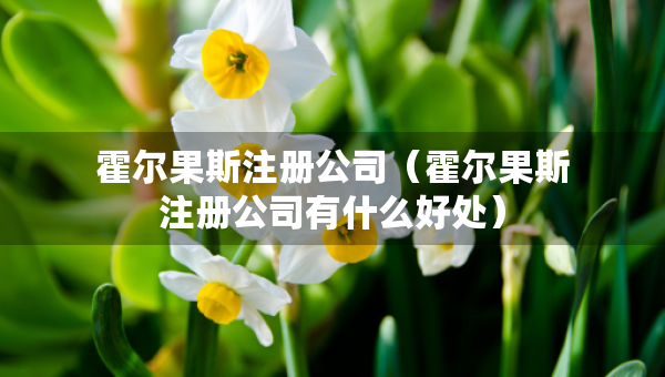霍尔果斯注册公司（霍尔果斯注册公司有什么好处）