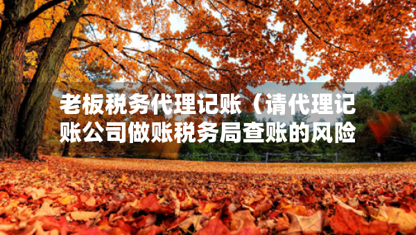 老板税务代理记账（请代理记账公司做账税务局查账的风险大吗）