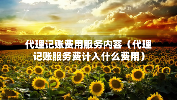 代理记账费用服务内容（代理记账服务费计入什么费用）