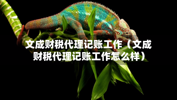 文成财税代理记账工作(文成财税代理记账工作怎么样) 文成财税代理记账工作(文成财税代理记账工作怎么样)