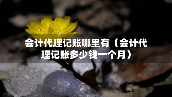 会计代理记账哪里有（会计代理记账多少钱一个月）