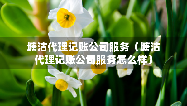 塘沽代理记账公司服务（塘沽代理记账公司服务怎么样）