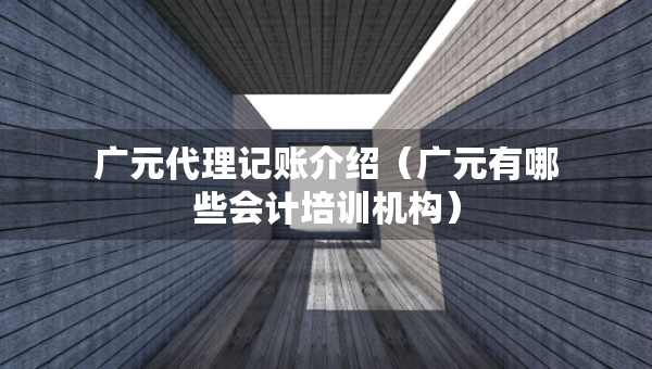 广元代理记账介绍（广元有哪些会计培训机构）