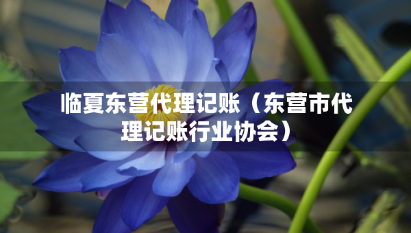 临夏东营代理记账（东营市代理记账行业协会）