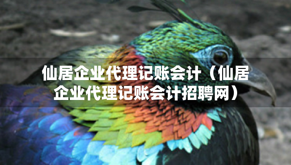 仙居企业代理记账会计（仙居企业代理记账会计招聘网）