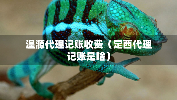 湟源代理记账收费（定西代理记账是啥）
