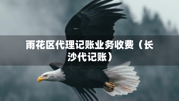 雨花区代理记账业务收费（长沙代记账）