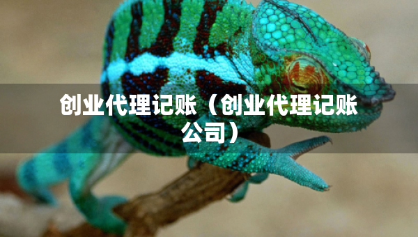 创业代理记账（创业代理记账公司）