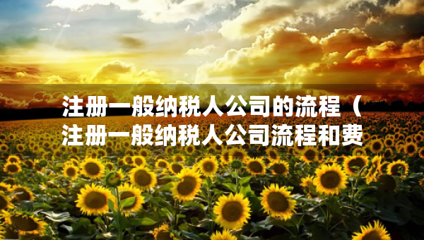 注册一般纳税人公司的流程（注册一般纳税人公司流程和费用）