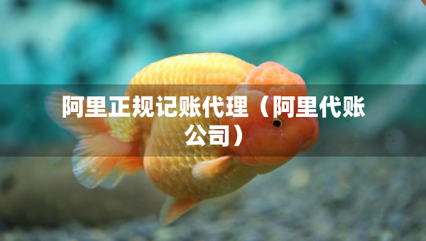 阿里正规记账代理（阿里代账公司）
