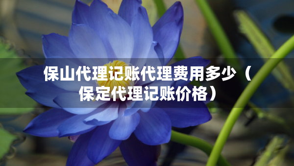 保山代理记账代理费用多少（保定代理记账价格）