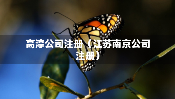 高淳公司注册（江苏南京公司注册）