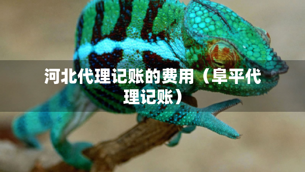 河北代理记账的费用(阜平代理记账) 河北代理记账的费用(阜平代理记账)