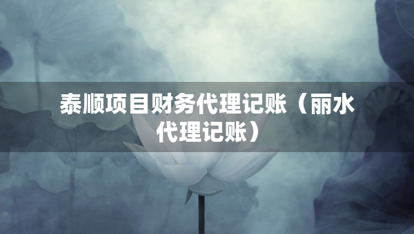泰顺项目财务代理记账（丽水代理记账）
