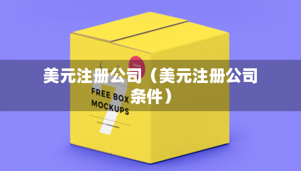 美元注册公司（美元注册公司条件）