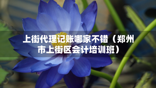 上街代理记账哪家不错（郑州市上街区会计培训班）