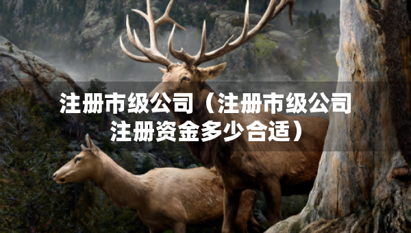 注册市级公司（注册市级公司注册资金多少合适）