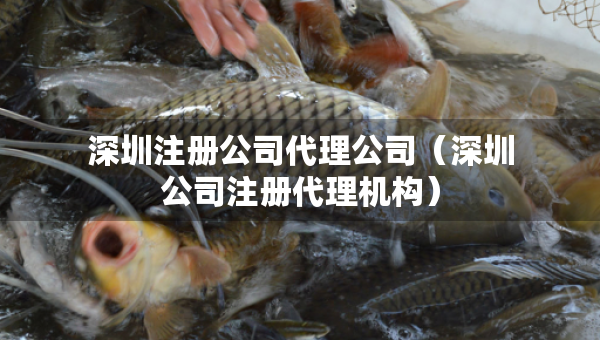 深圳注册公司代理公司（深圳公司注册代理机构）