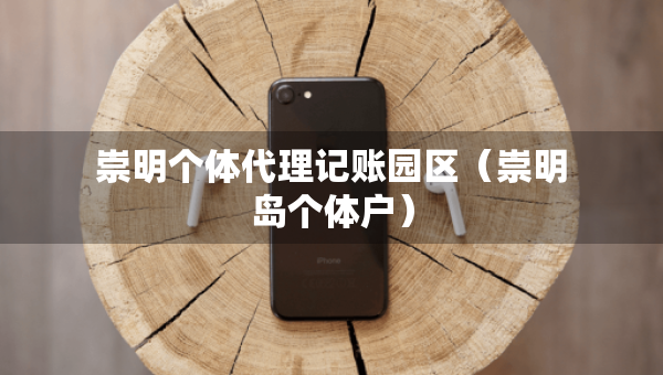 崇明个体代理记账园区（崇明岛个体户）
