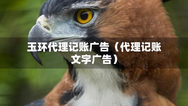 玉环代理记账广告（代理记账文字广告）