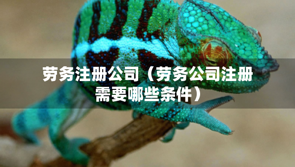 劳务注册公司（劳务公司注册需要哪些条件）