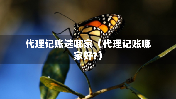 代理记账选哪家（代理记账哪家好?）