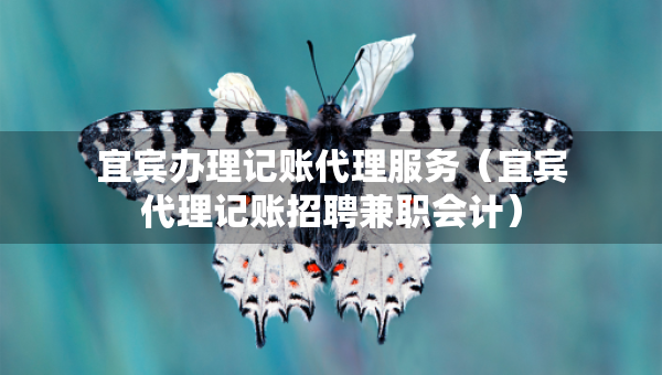 宜宾办理记账代理服务（宜宾代理记账招聘兼职会计）